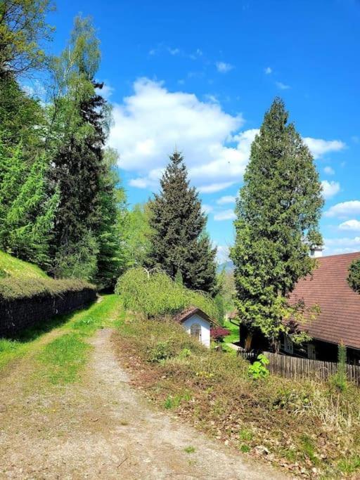 Roubenka U Kaplicky Vila Liberec Exterior foto